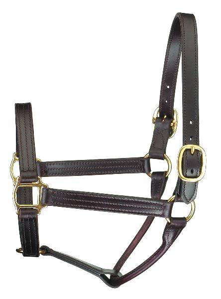 Perri’S Premium Track Style Leather Show Halter