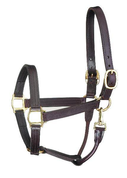 Perri’S Premium Track Style Leather Halter With Snap