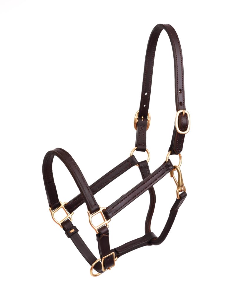 Perri’S 3/4″ Premium Leather Show Halter