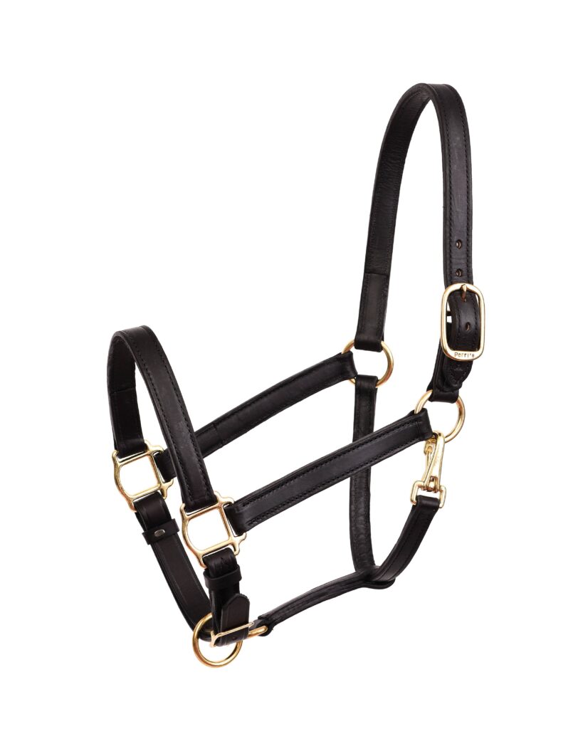 Perri’S 1″ Turnout Halter