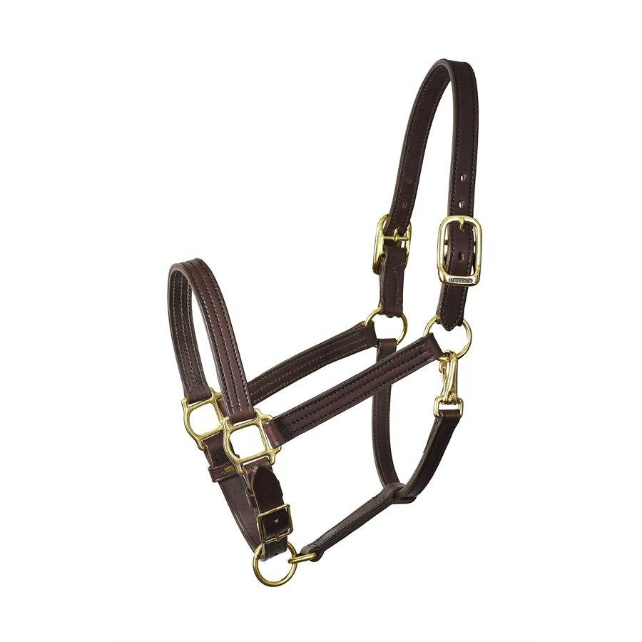 Perri’S 1″ Turnout Halter