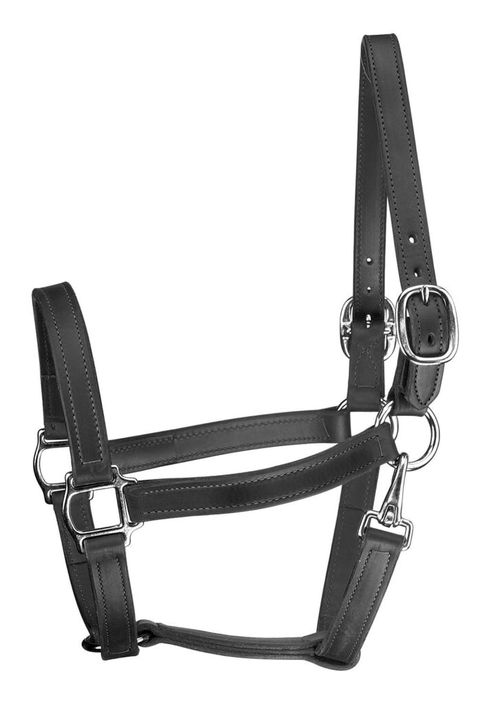 Perri’S Track Style Leather Turnout Halter With Snap