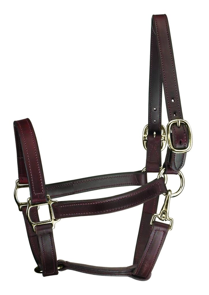 Perri’S Track Style Leather Turnout Halter With Snap