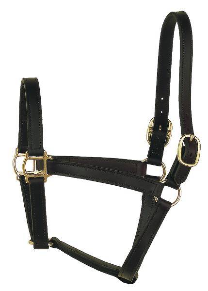 Perri’S Track Style Leather Turnout Halter