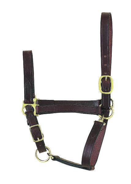 Perri’S Economy Leather Halter
