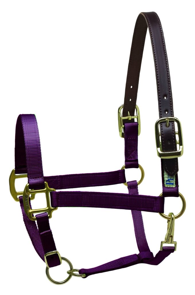 Perri’S Premium Nylon Safety Halter