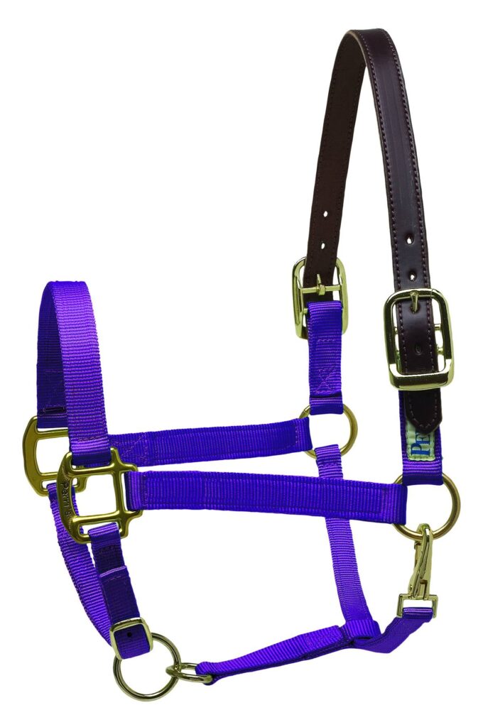 Perri’S Premium Nylon Safety Halter