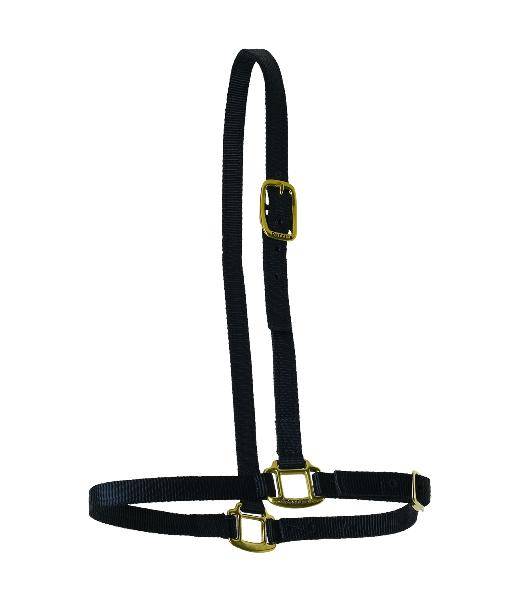 Perri’S Nylon Grooming Halter