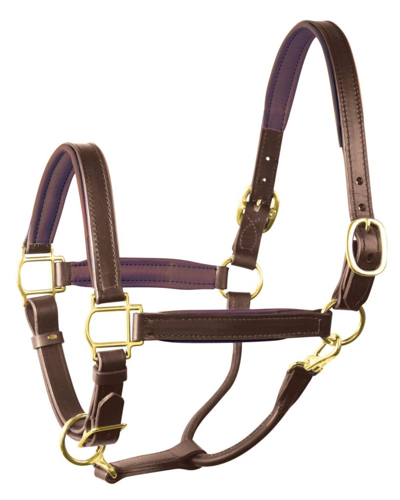 Perri’S 3/4″ Padded Leather Halter
