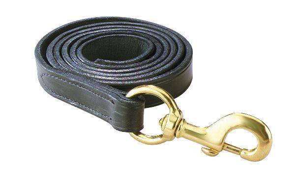Perri’S Leather Lead With Snap