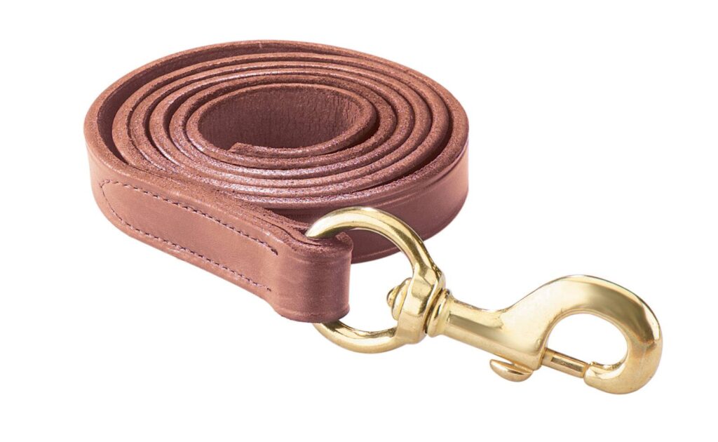 Perri’S Leather Lead With Snap