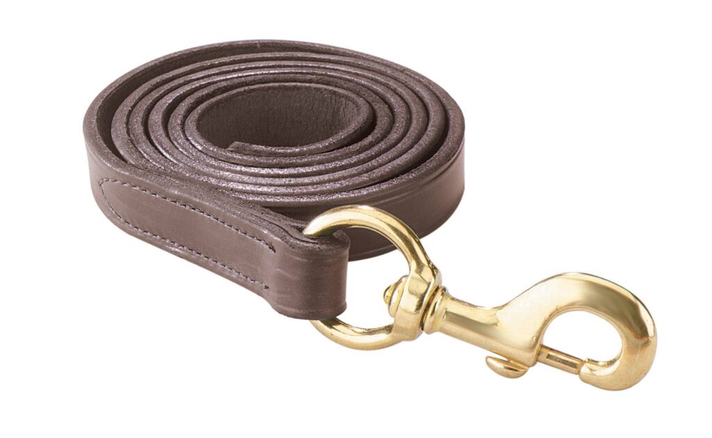 Perri’S Leather Lead With Snap