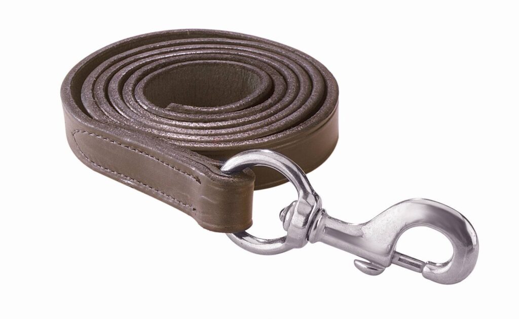 Perri’S Leather Lead With Snap
