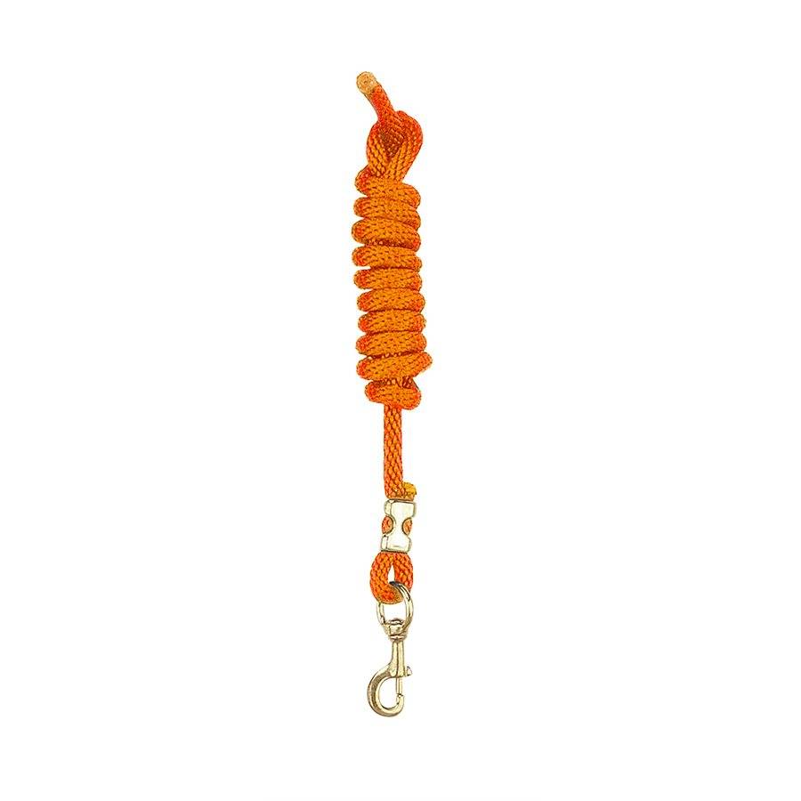 Perri’S Poly Nylon Lead With Brass Snap
