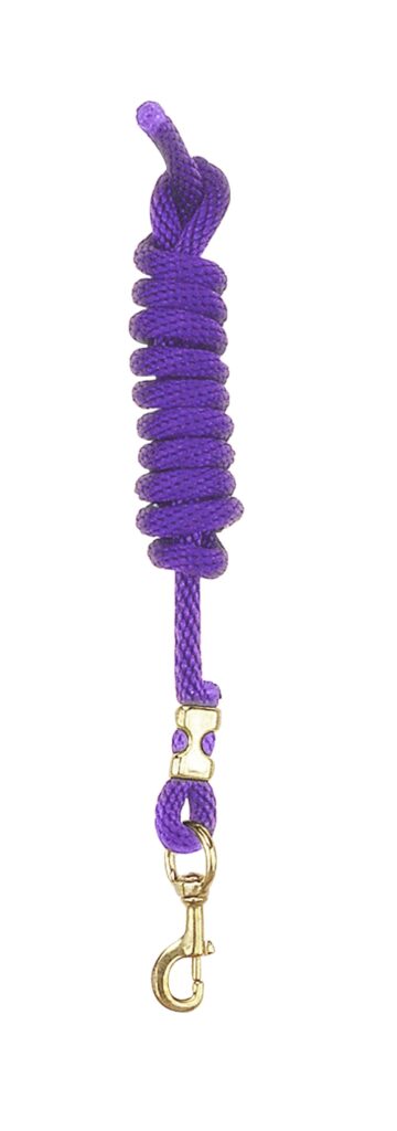 Perri’S Poly Nylon Lead With Brass Snap