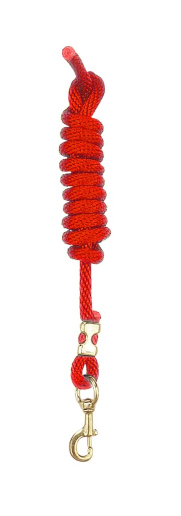 Perri’S Poly Nylon Lead With Brass Snap