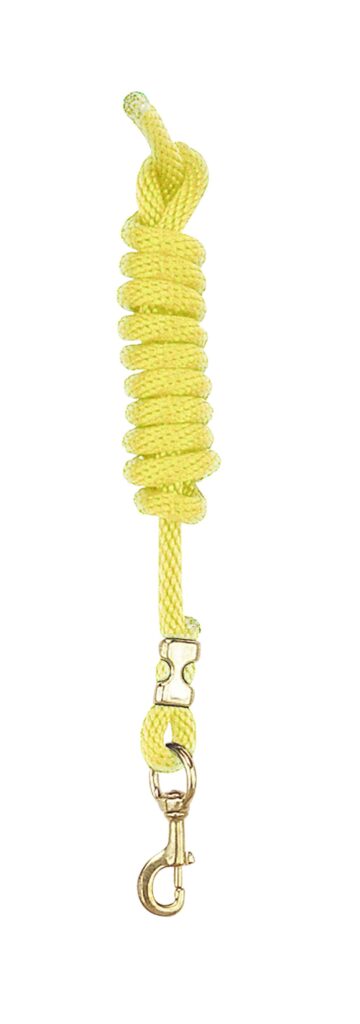Perri’S Poly Nylon Lead With Brass Snap