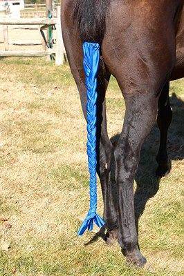 Eq Stretch Braid N Tail Bag