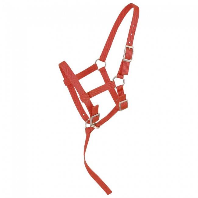 Tough-1 Adjustable Suckling Halter