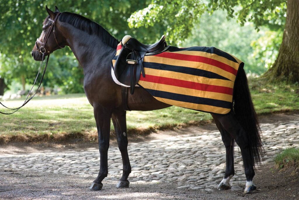 Rambo Newmarket Competition Sheet