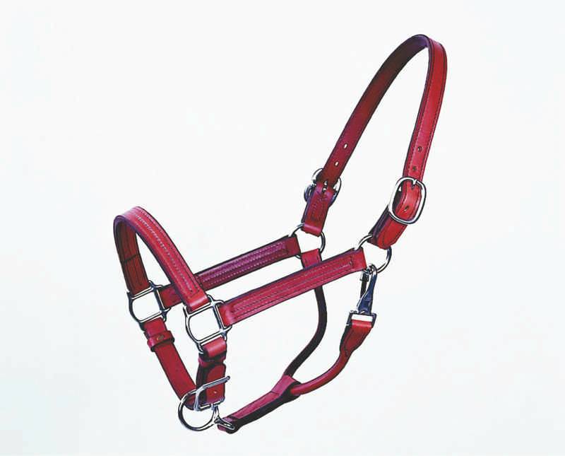 Halter Track 1 Inch