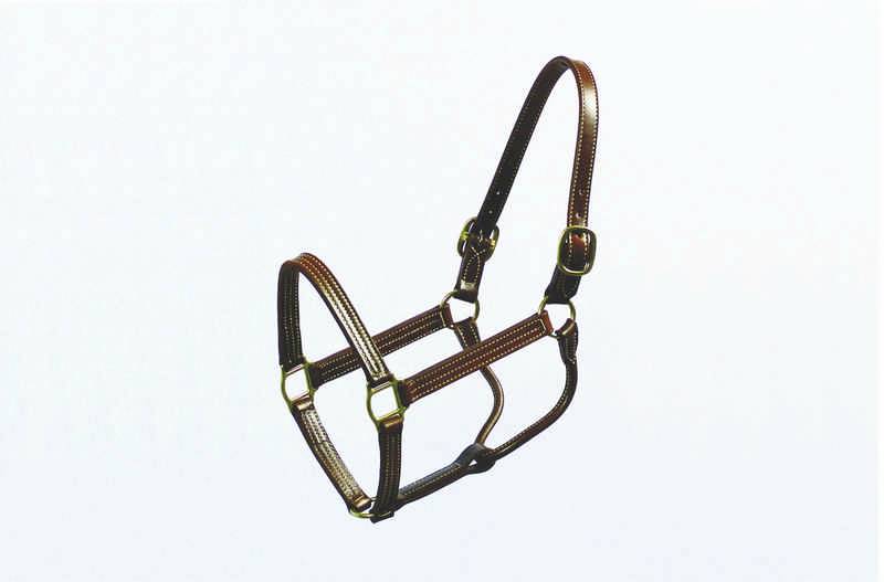 Halter Thoroughbred 1 Inch