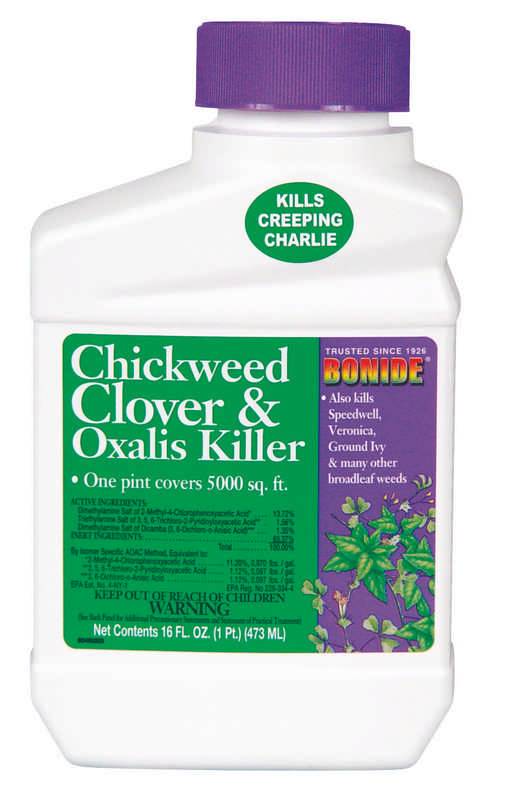 Chickweed Clover Oxalis Killer – Concentrate