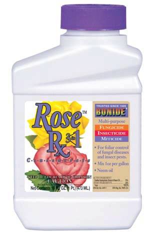 Captain Jack’S Rose Rx 4-In-1 Concentrate