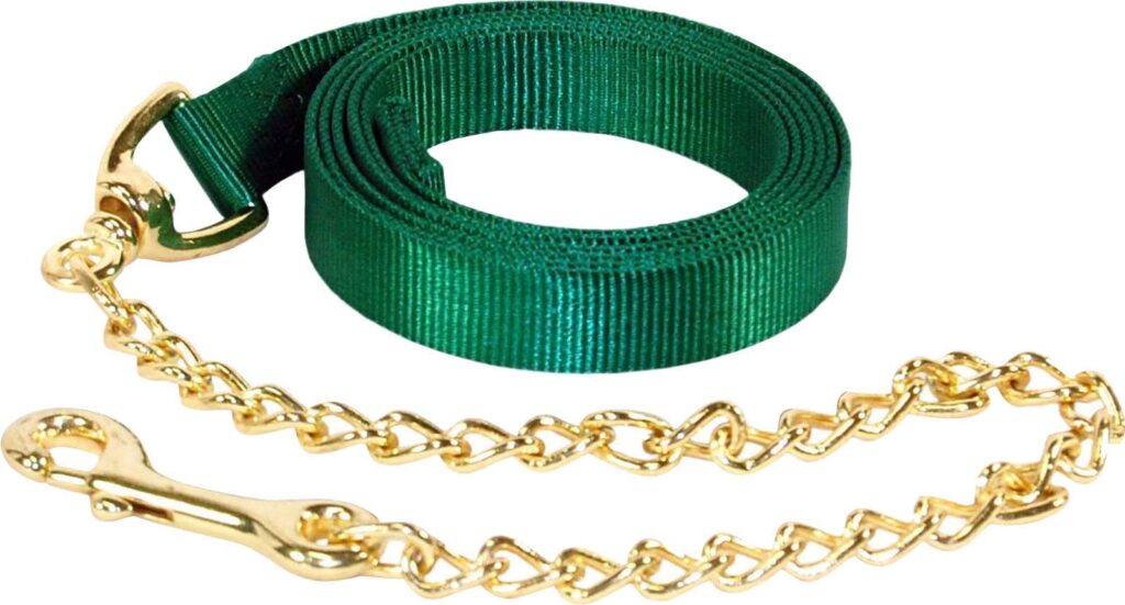 Hamilton Lead Nylon With Chain & Snap