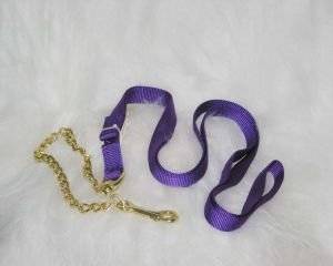 Lead Sthck Nylon With Chain &Snap