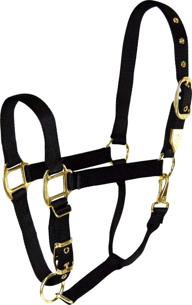 Hamilton Halter Adjustable Chin With Snap