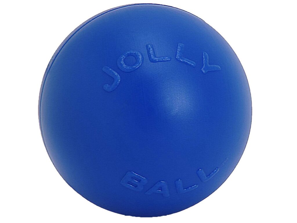 Jolly Pets Push-N-Play Jolly Ball