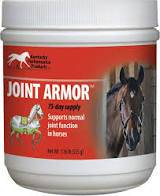 Joint Armor For Horses