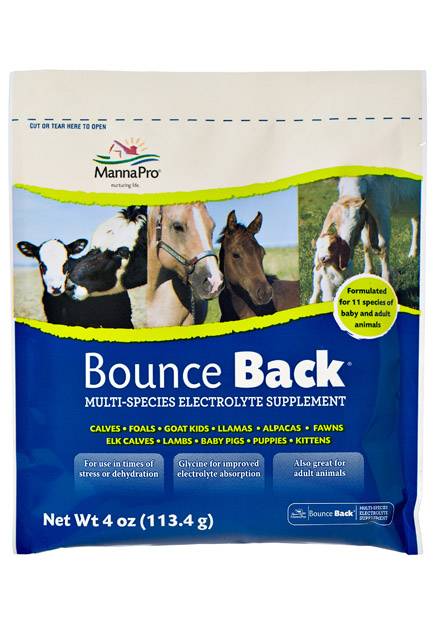 Bounce Back Electrolyte Calves