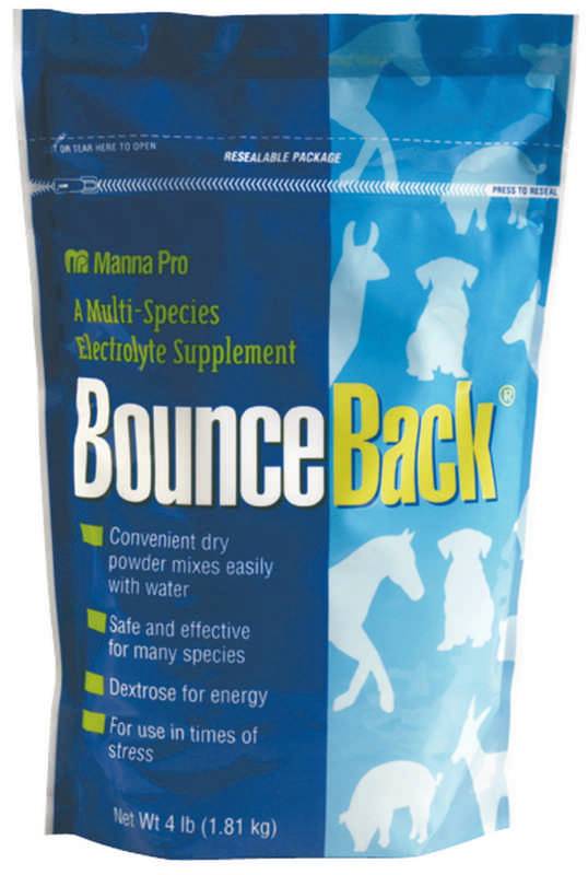 Bounce Back Electrolyte Calves
