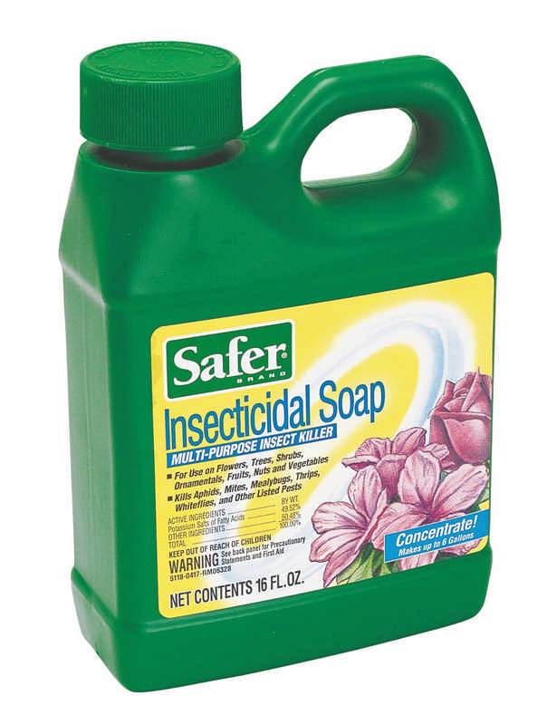 Insect Soap Concentrate