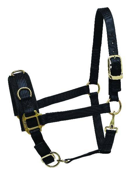 Perri’S Nylon Lunge Caveson