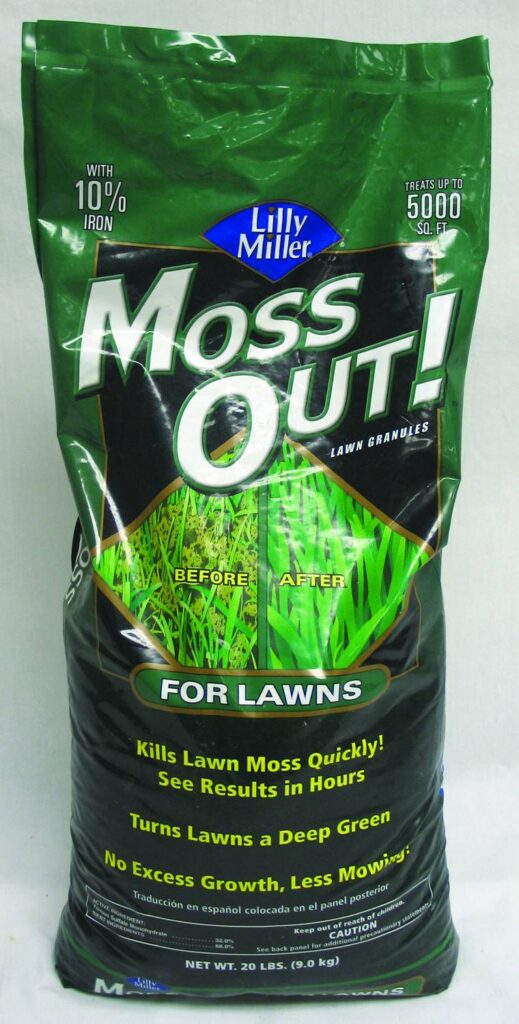 Lilly Miller Moss Out For Lawns
