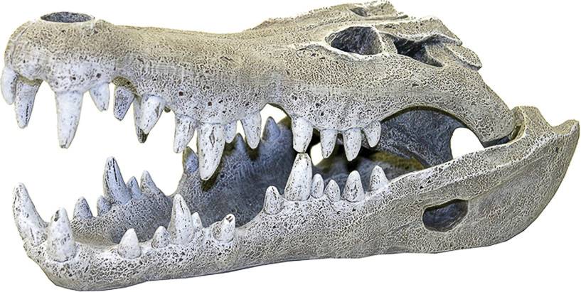 Nile Crocodile Skull Aquarium Ornament