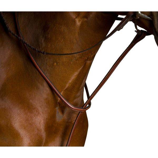Kincade Flat Martingale Standing