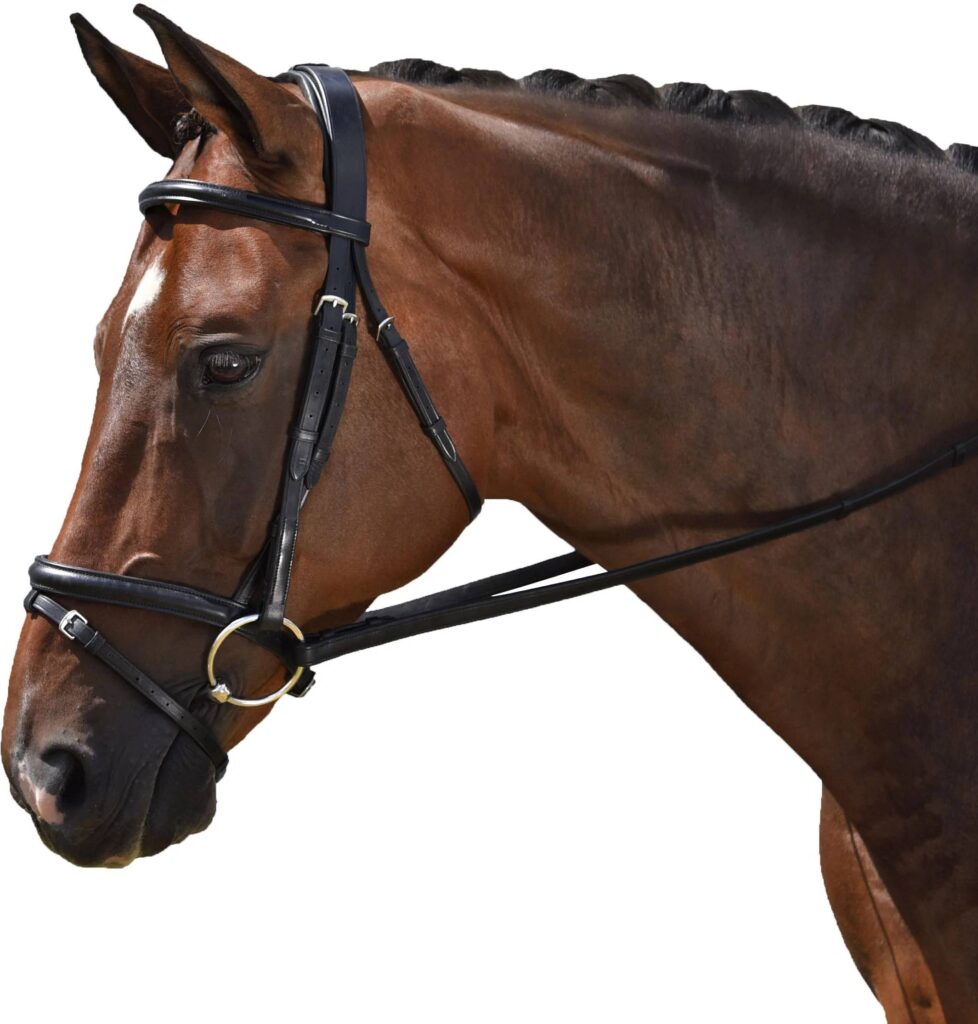 M. Toulouse Classic Dressage Bridle