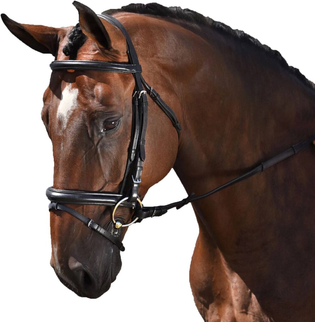 M. Toulouse Euro Style Dressage Bridle