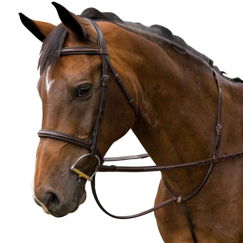 M. Toulouse Raised Bridle With Covered Reins