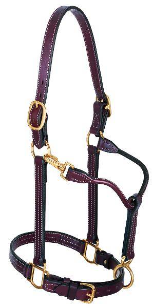 Weaver 1″ Leather Track Halter