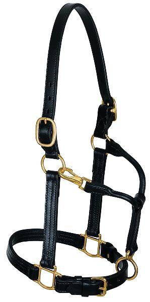 Weaver 1″ Leather Track Halter