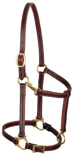 Weaver 3/4″ Track Halter