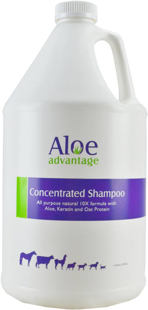 Durvet Aloe Concentrated Shampoo 10x
