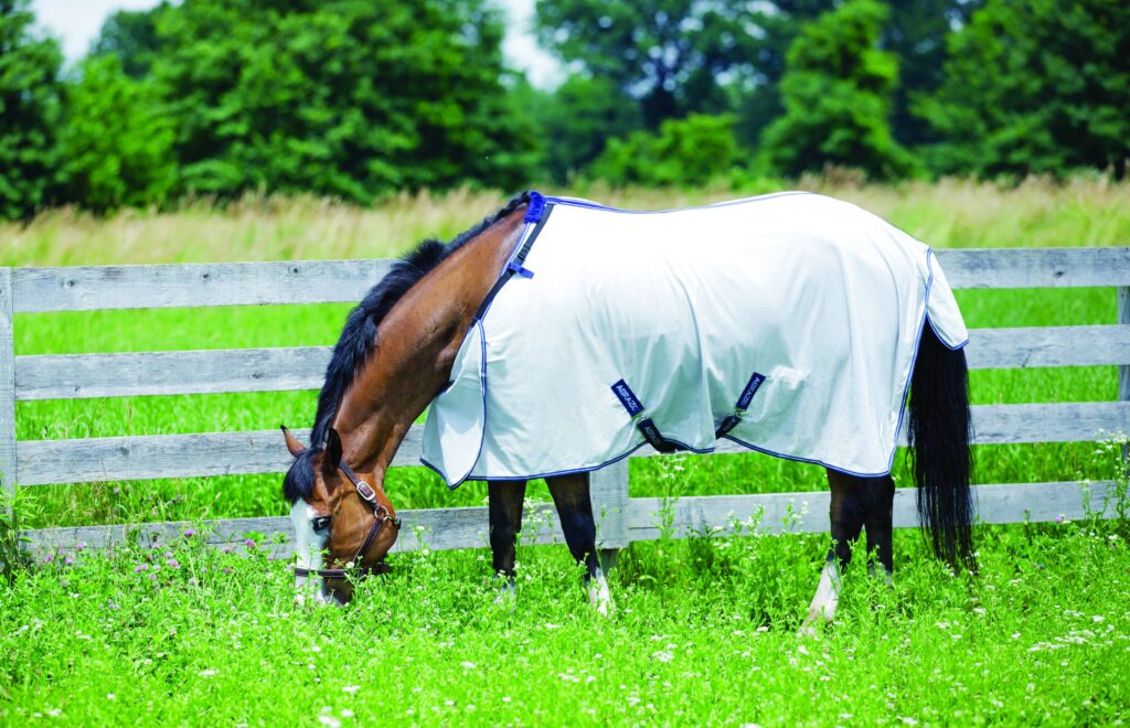 Hugs Abrazo Hug Flysheet