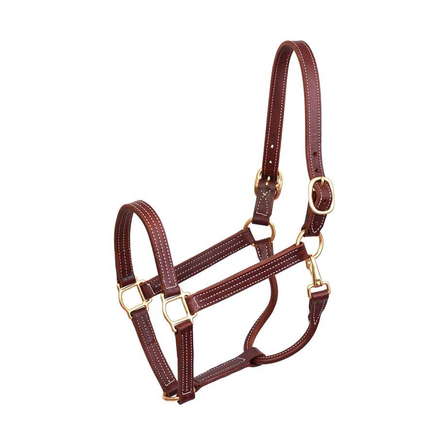 Perri’S Professional Show Halter