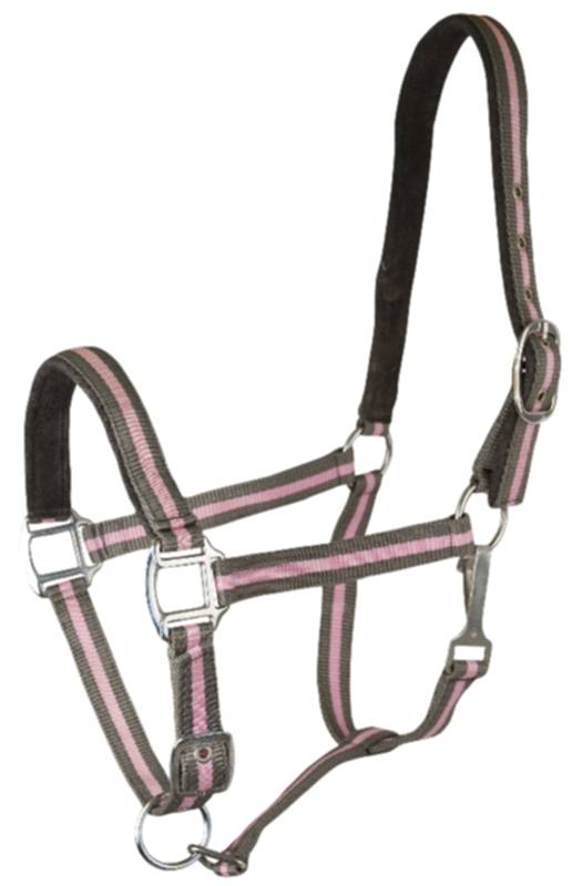 Gatsby Suede Padded Nylon Halter